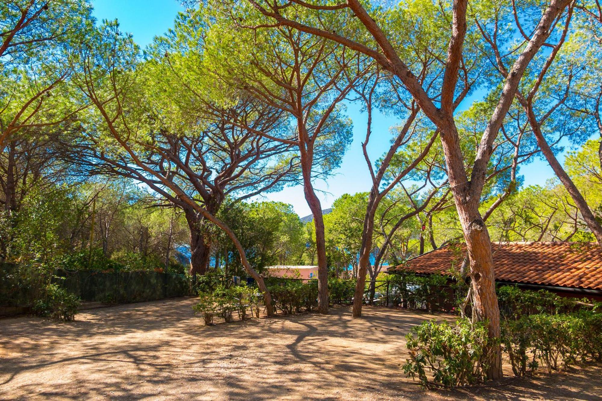 Camping Lacona Pineta كابوليفيري المظهر الخارجي الصورة
